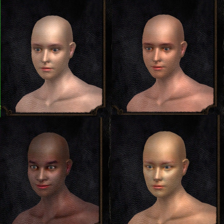 Top row, from left to right: [White] "Commoner: Very average commoner face.” [Latina/o] “Delta Farmer: Commonly seen face in the FiveFinger Delta.” Bottom row, from left to right: [Black] “Jubilant Catarina: Jovial features of Catarina, known for fe…